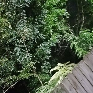 Meet your Posher, Everything